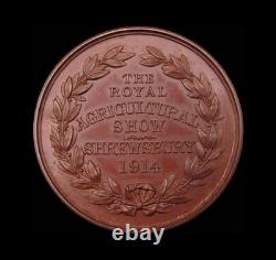 1914 AGRICULTURAL SHOW SHREWSBURY ROYAL VISIT 38mm BRONZE MEDAL
