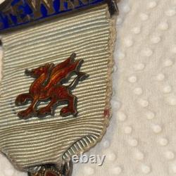 1934 Royal Masonic Institution for Boys Steward Jewel Medal Spencer London 925