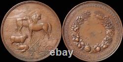 AUSTRALIA South Australia Royal Agricultural & Horticultural Society Prize medal