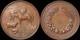 AUSTRALIA South Australia Royal Agricultural & Horticultural Society Prize medal