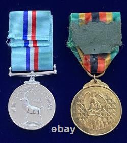 British Rhodesia 1980 Medal Pair Named to R. A. F
