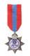 Edward VII 1902-1910 Imperial Service Medal Original