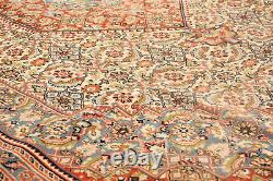 Hand-knotted Carpet 7'9 x 12'0 Royal Mahal Traditional Wool Rug