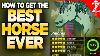 How To Get A 20 Best Horse In Tears Of The Kingdom All Malanya Recipes