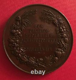 Imperial Russia, exceptional bronze medal of Alexander III and Nicholas II