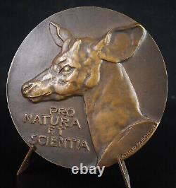 Medal Belgium 1968 Royal Zoological Society Of Antwerpen Zoologie Animal