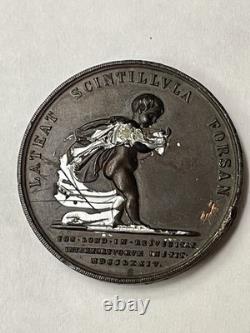 Royal Humane Society Bronze Medal Thomas Hull 1898