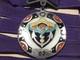 Sterling Royal Order Jester Medal Orig. Linen Original Leather Pouch Never Worn
